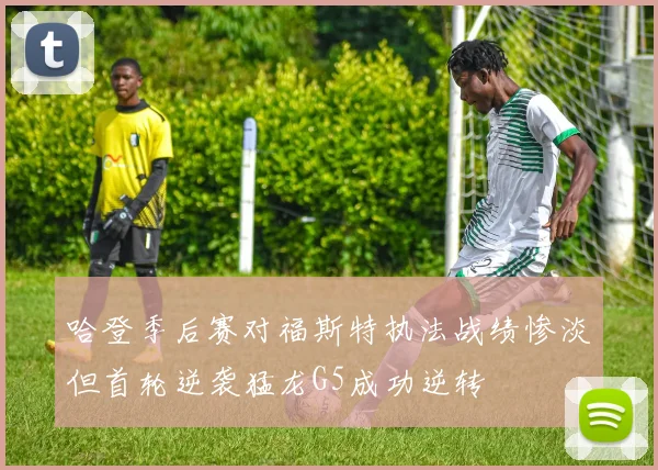 哈登季后赛对福斯特执法战绩惨淡但首轮逆袭猛龙G5成功逆转