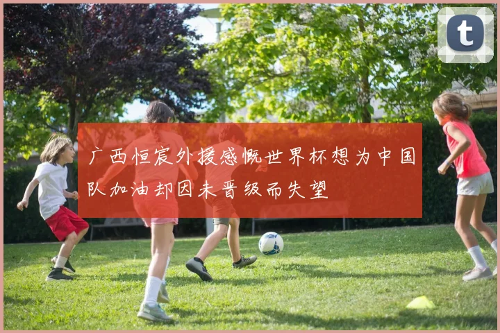 广西恒宸外援感慨世界杯想为中国队加油却因未晋级而失望