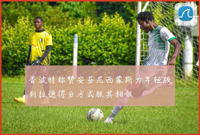 香波特称赞安芬尼西蒙斯为年轻版利拉德得分方式极其相似
